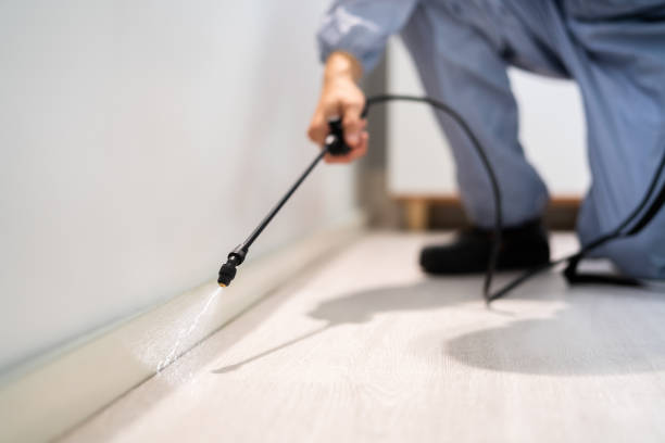 Licensed Termite Control service in Doral, FL - Nex Pest Control