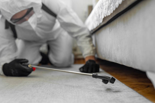Professional Termite Control technician working in Doral, FL