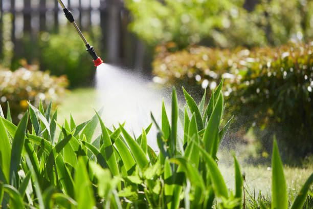24/7 Emergency Termite Control experts in Doral, FL