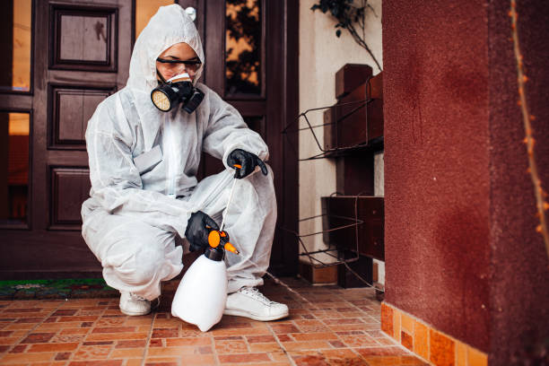 Reliable Termite Control contractor in Doral, FL by Nex Pest Control